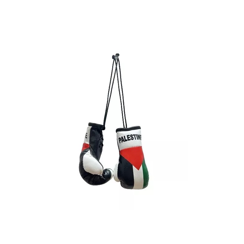 Mini Palestine Boxing Glove / Palestine Flag / Palestine Boxing