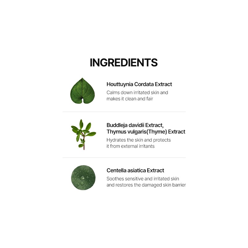 HUECALM [HUECALM]Heartleaf Calming Cleansing Foam 120ml