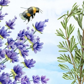 Rustic Strength Soothing Herbs Plant-Based Liquid Hand Soap, Non-Drying Hypoallergenic for Sensitive Skin | Sustainable Bulk Refill Size Half Gallon Jug