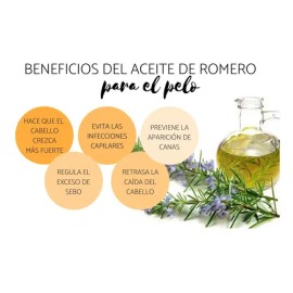 10PCS Palitos Dentales Silvervine para Gatos, Juguetes para Limpiar Dientes | Juguete Masticable Resistente, Limpieza de Dientes, Alivio de Estrés e R