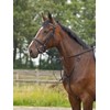 Martingal BASIC- PRO, WB, schwarz