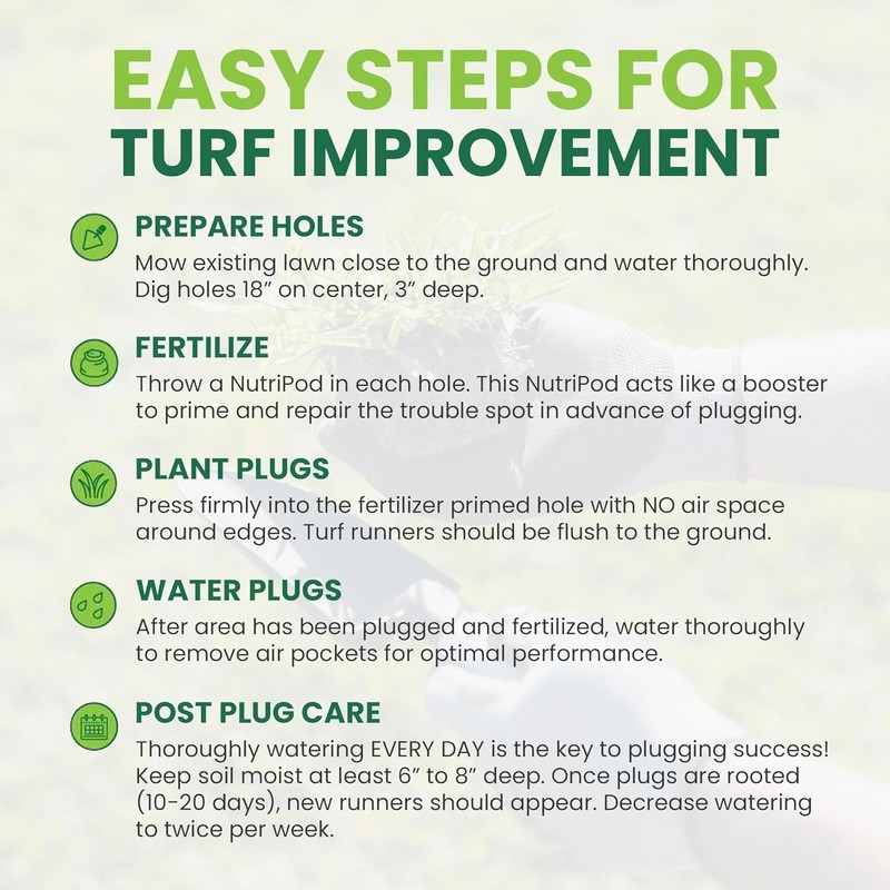 SodPods® Zoysia Grass Plugs for Lawn Repair, 3" x 3"