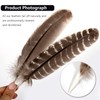 THARAHT 24pcs Natural Wild Turkey Wing Feathers Quill Bulk 10-12inch