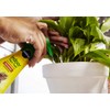 Liquid Indoor Plant Food - 8 Oz - Feeds All