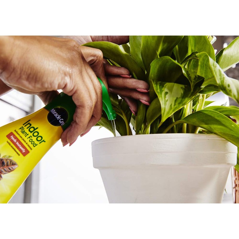 Liquid Indoor Plant Food - 8 Oz - Feeds All