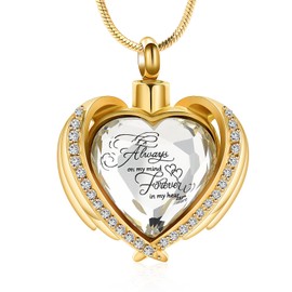 Minicremation Cremation Jewelry for Ashes Pendant - Crystal Heart Urn Necklace with Mini Keepsake Urn Memorial Ash Jewelry