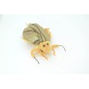 Collectible Wildlife Gifts Toy Plushy Cockroach, Stuffed Bug, Plush Roach