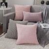 Miulee Set of 2 Corduroy Velvet Soft Cushion Covers -