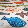 Pacific Fishes Bandana