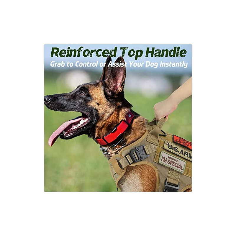 rabbitgoo Chaleco Táctico Arnés para Perro Grande con Sistema Molle