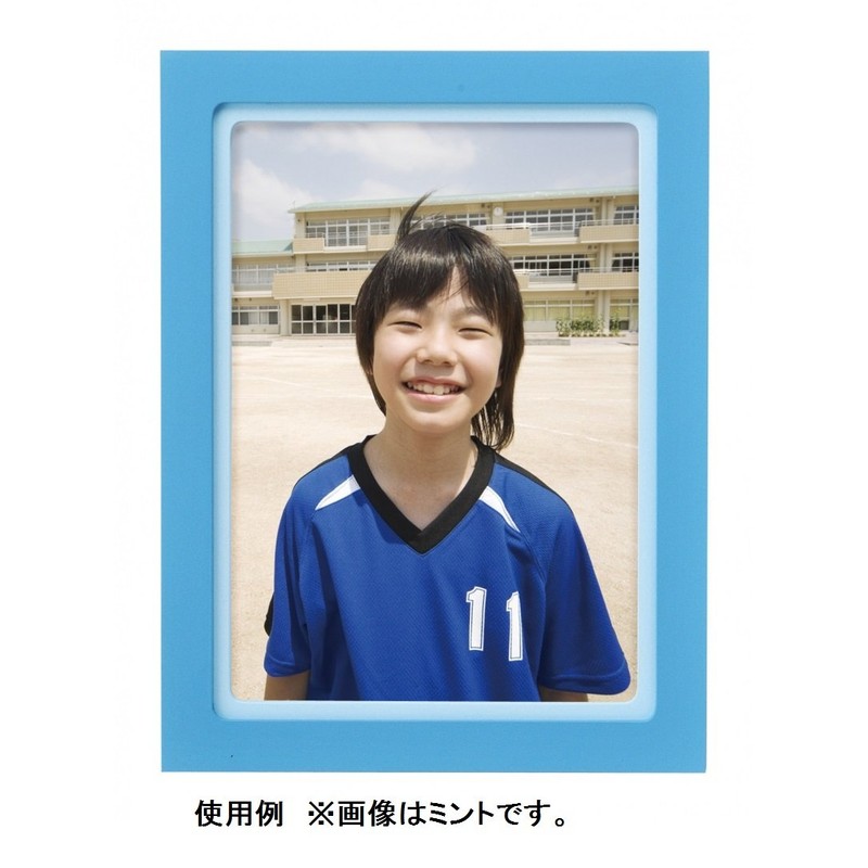 HAKUBA フォトフレーム Lサイズ用 マカロン ミント FWMC-MTL