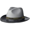 Stetson Men’s Casual Sun Protecting Andover Florentine Milan Fedora, Black/Grey,