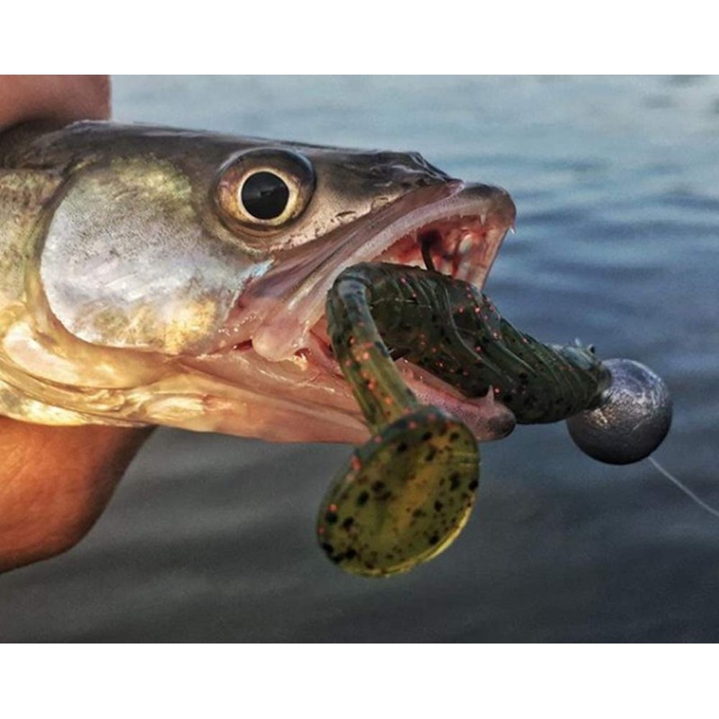 Yum Lures YPL4198 Pulse Chart Clear Shad Pulse, Chartreuse Clear