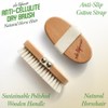 Eda Taspinar Horse Hair Brush 100 Natural Horsetail Bristle For