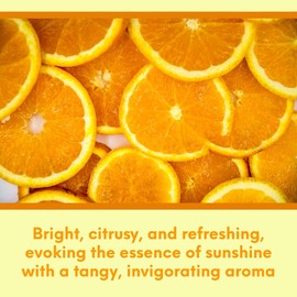 Buyitshipit - Orange from Our Fruit Collection - Perfect for Adding Aroma to Freshies, Candles, Soaps, and Diffusers - 4 oz