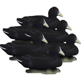 Higdon Outdoors Standard Coot Duck Decoys | Lightweight & Realistic UV Painted Floating Decoy for Waterfowl Hunting| Short-String Design for Easy Setup | Foam Filled | 6pk