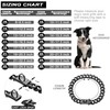 Dog Chain Collar Walking Collar with Design Secure Buckle 19MM