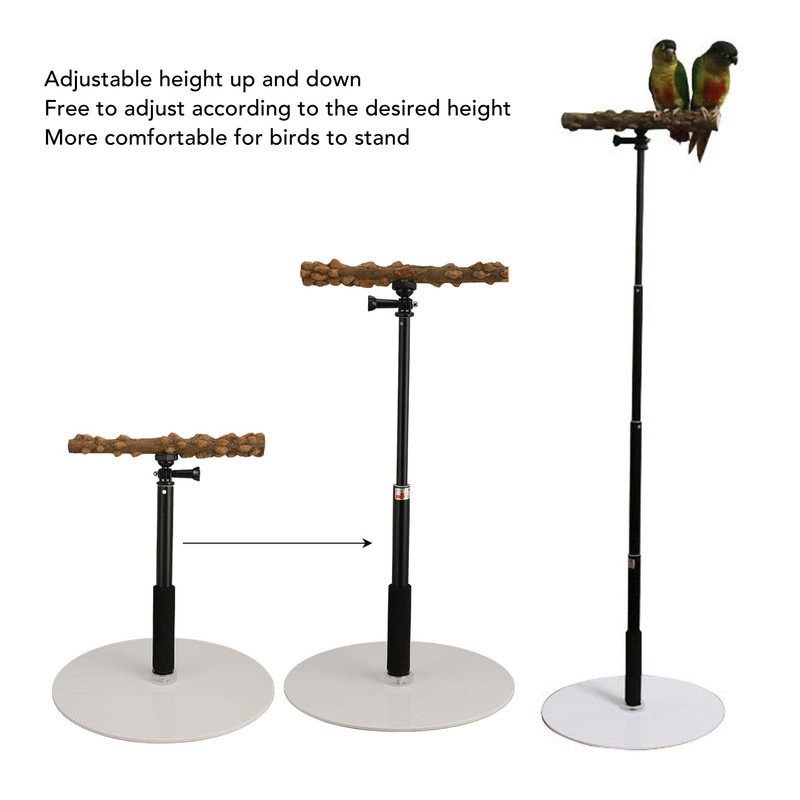 Bird Perch Stand, Adjustable Height Parrot Training Perch Stand Portable