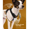 FAYOGOO Dog Harness, No Choke Front Clip, Dog Reflective Harness,