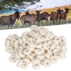 100PCS Pig Cattle Sheep Tail Cutting Castration Rubber Ring Castration