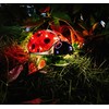 Solar Ladybug Outdoor Garden Statue,Hanging Waterproof LED Solar Lights Outdoor