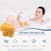 Natürlicher Meeresschwamm, 2 Stück, Badeschwamm, größere Duschschwämme für Damen und