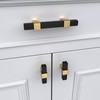 goldenwarm 6 Pack Black and Gold Cabinet Knobs Kitchen Cabinet
