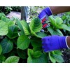 WILDFLOWER Tools Gardening Gloves for Women and Men - (2