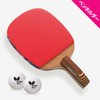 Table Tennis Racket Butterfly Shake Hand Stayer 1500 16710 Pen
