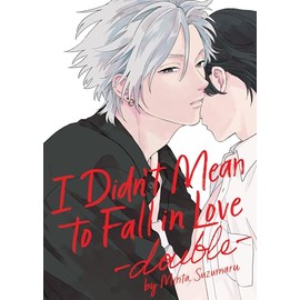 I Didn't Mean to Fall in Love -double-