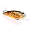 Popper Wobbler Fishing Set, Predatory Bait Box, Pike, Perch, Zander