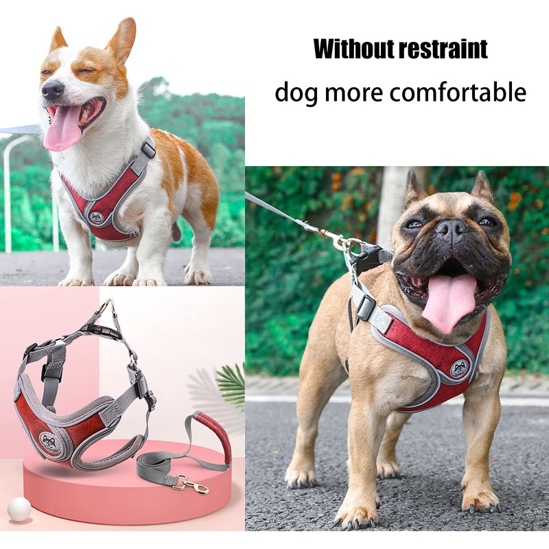 SKXEO Small Dog No Pull Harness and Lead Set -