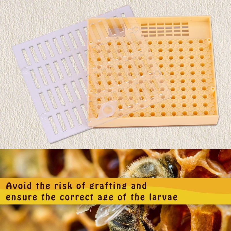 Queen Rearing Cup Kit Bee Cultivating Tool Plastic Beekeeping Box