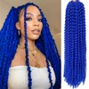 Passion Twist Hair 30 Inch Water Wave Crochet Hair 2