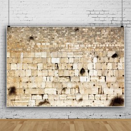 Pnylzzyxh Jerusalem Wailing Wall Backdrop Israel Ancient Cityscape Backdrop Historical Site Western Wall Old City Backdrop for Theme Portrait Photography Background 8x6ft Banner Photo Studio Props