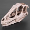 Resin Dinosaur Skull Model Simulated Animal Skeleton Home Office Decor