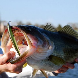 OriGlam 6pcs Fishing Lures Fishing Lure Set Minnow Baits Kit Crankbait Floating Lure with Lip Hooks Swimbait Hard Bait for Bass Trout Freshwater Saltwater