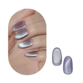 Real Fruit Magnet, 08 Real Fruit Magnet, Magnetic Nail, Color Gel