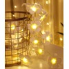 Aquamy Plumeria Garland String Light, Indoor LED Flower Decoration, Artificial
