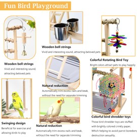 Bird Playground,Parrot Playstand Bird Toys,Parakeet Perch Stand Gym Set with Swing Ladder Feeder Cups Cockatiel Ladder,Parrot Cage Accessories for Parakeets Cockatiels Lovebirds Conure Budgies