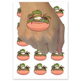 Flourishing Moisturized Happy Frog In Clay Jar Temporary Tattoo Water Resistant Fake Body Art Set Collection - 15 2" Tattoos (1 Sheet)