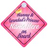 Nanny and Grandad's Princess 018 On Board Car Sign New