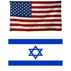 AES Wholesale Combo USA American & Israel Israeli 12"x18" Polyester Flags