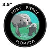 Fort Pierce, Florida Manatees Embroidered Premium Patch DIY Iron-on or