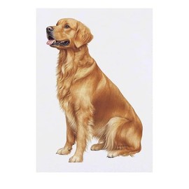 Azeeda 'Golden Retriever Hundesitting' Temporäres Tattoo - Hautfreundlicher & Ungiftiger Abziehbild · Wasserfest (TO00079115)