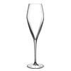 Luigi Bormioli Atelier 9.25 oz Champagne Glasses, 6 Count (Pack