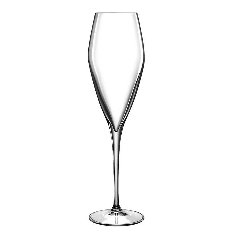 Luigi Bormioli Atelier 9.25 oz Champagne Glasses, 6 Count (Pack