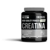 Creatina Pura Monohidratada Holix Lab 500g 100 Serv Creatina Micronizada