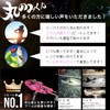 Maru no Mikun Chivas Jig Head Lure Flounder Set vg16