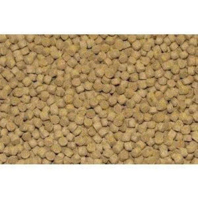 Northfin Cichlid Formula Fish Food – Slow Sinking Pellets for